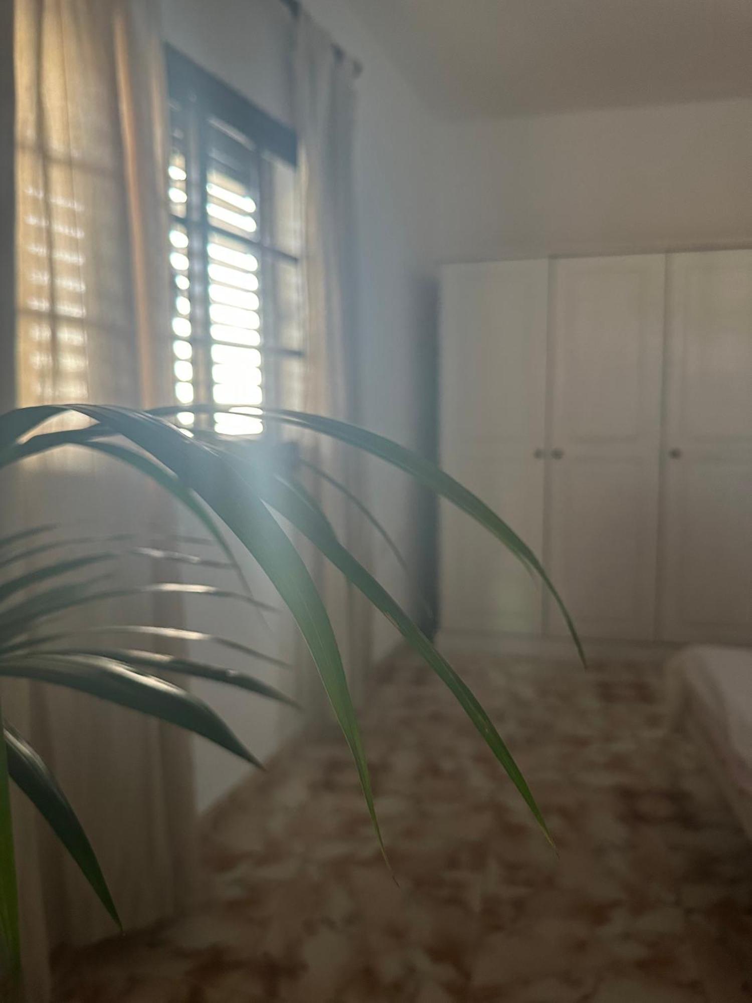 Apartamento Fortaleza Vallehermoso Zewnętrze zdjęcie