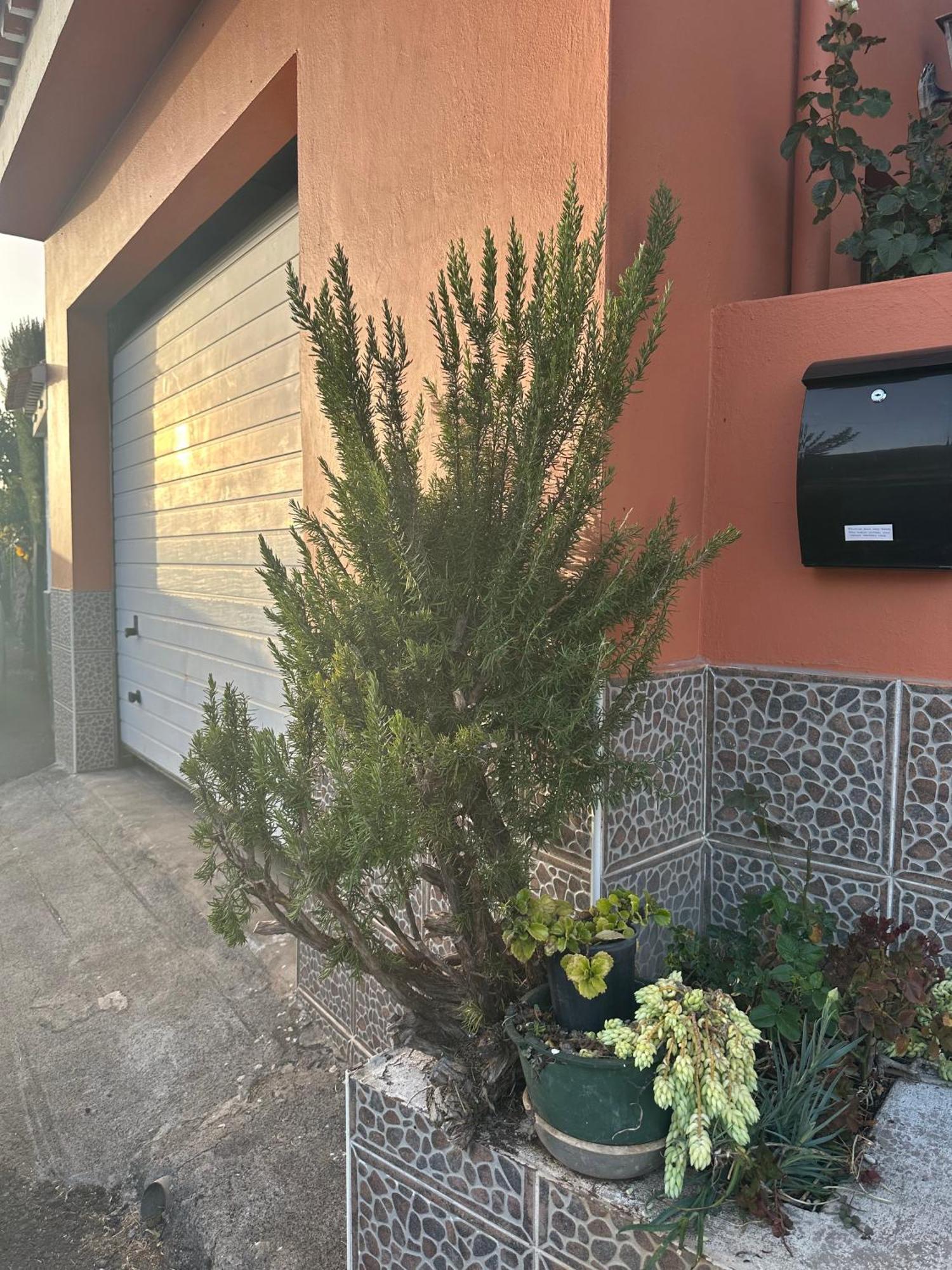 Apartamento Fortaleza Vallehermoso Zewnętrze zdjęcie